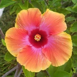 Meet your Posher, Kellie